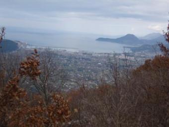 15000 sq m of land above Bar Bar